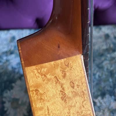 Mandriola Tricordia 12 String Mandolin Bird's Eye image 10