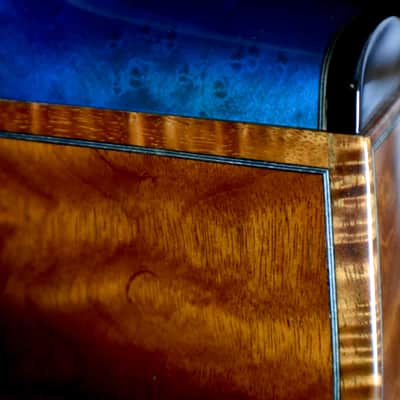 The Tree: The Four Elements - The Element Earth Acoustic Bass image 11
