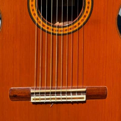 Batiste Bofi Concierto 10-String Classical 1984 - stunning 41 year old Indian Rosewood special order from Valencia Spain. image 11