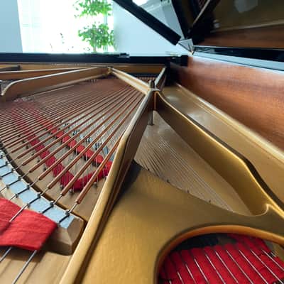 Steinway&Sons Model B 1980 - Nero image 4