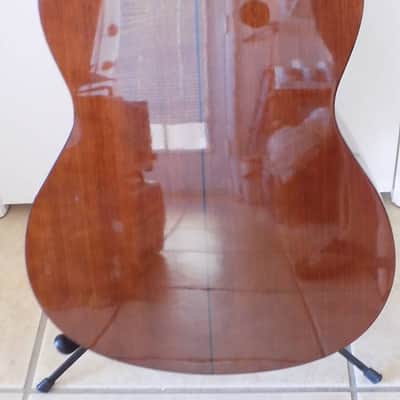 FENDER Gemini 1 Nylon String Classical Acoustic Guitar / Hard Case image 8
