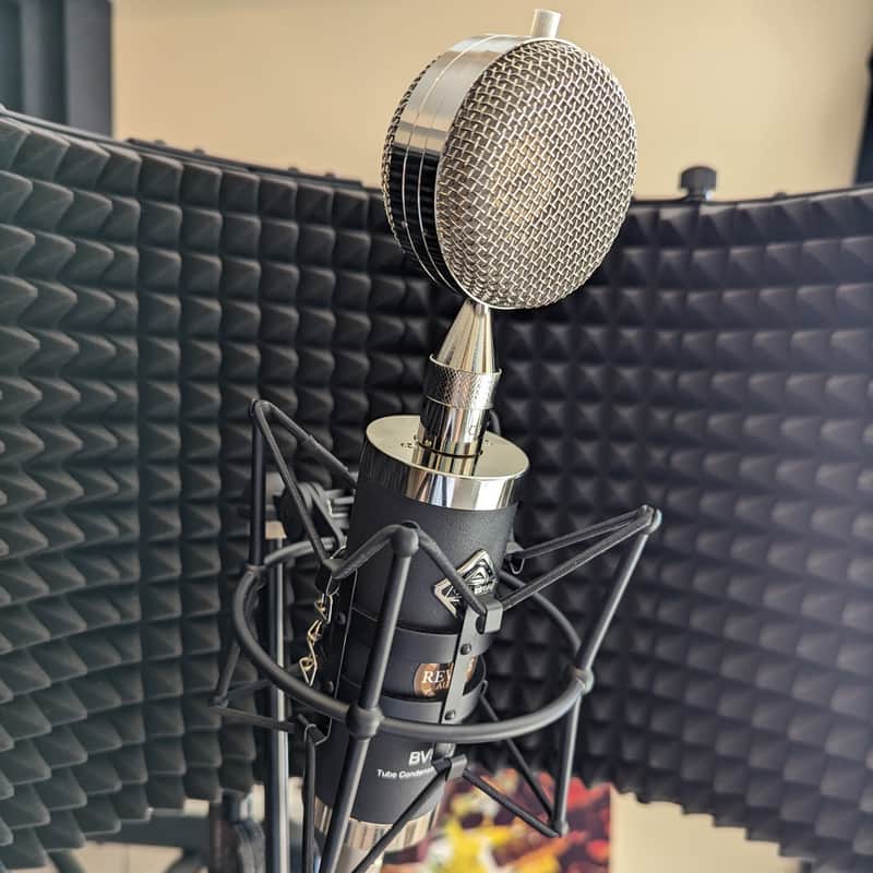 Revive Audio Modified: Alctron Audio BV563, Multi-Capsule Tube Condenser microphone, Gold Lion, Top Shelf image 1