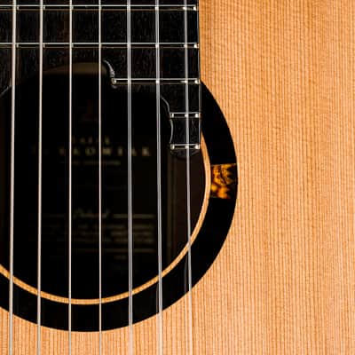 Turkowiak double-top 8 string classical guitar No 672 Opus Prime image 10