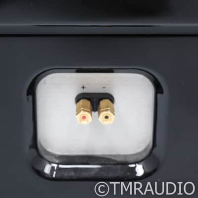 Wilson Audio Maxx 3 Floorstanding Speakers; Obsidian Black Pair; Series 3 image 7