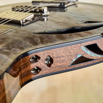 Artinger 25th Anniversary Hollow Body Custom image 14