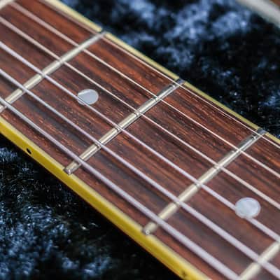 King Snake Curtis | Tobacco Sunburst image 13