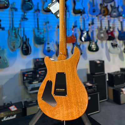 PRS Wood Library Custom 24 Fatback - Custom Color - Quilt 10 Top, Brazilian RW, Paisley Case 293 image 18