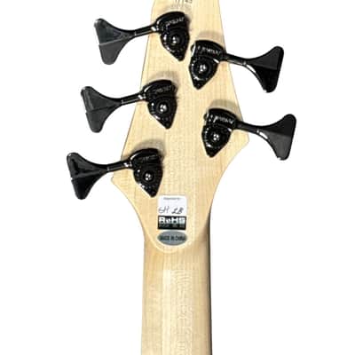 Dingwall Combustion 5 Whalepool Burst / Maple *IN STOCK! image 11