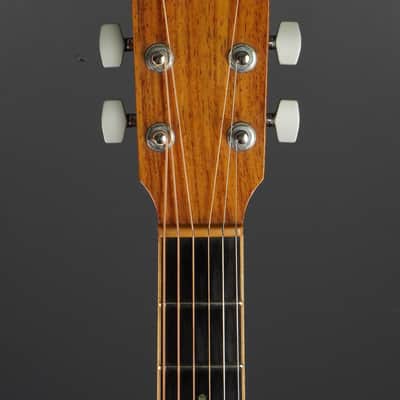 Thompson TM-1 1996 - Natural image 6