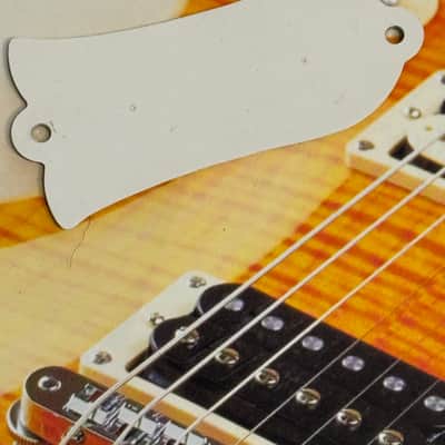 Gibson Gibson 80's NOS Truss Rod Cover 1980's -The Paul image 2