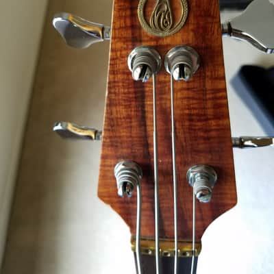 Alembic Spoiler 1984 image 17