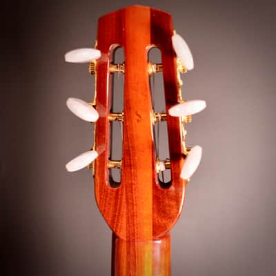 2017 Viteri Custom Selmer Manouche/Gypsy Guitar - Petit Bouche image 9