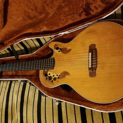 Ovation EA 63 Viper Nylon Electric Chambered Body Rare w/ HSC image 1