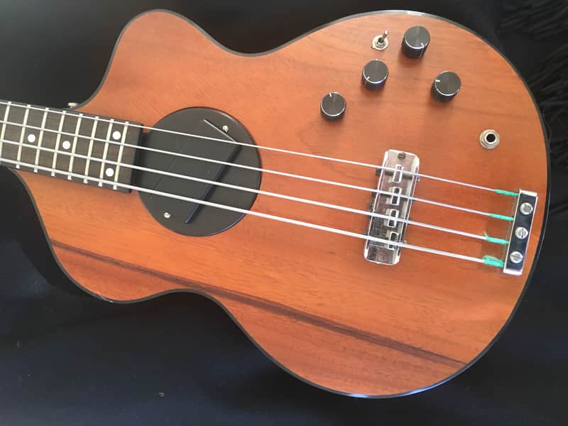 Rick Turner Model 1 Bass 1980 Mohagany image 1