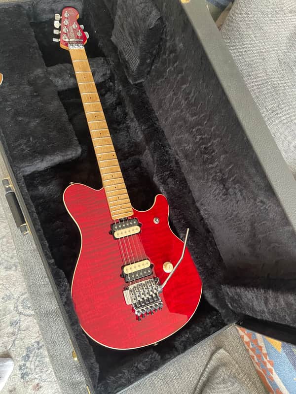 Ernie Ball Music Man Eddie Van Halen Signature Floyd | Reverb Canada
