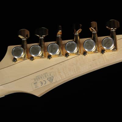 Ibanez PGM333 30th Anniversary Paul Gilbert Signature (#898) image 13
