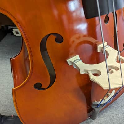 Upright Bass Samuel Eastman VB80 2019 image 10