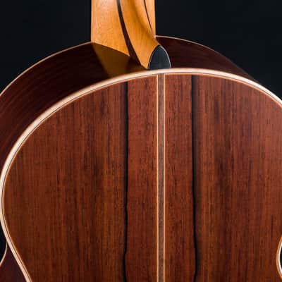 Lowden S-50 Madagascar Rosewood and Adirondack Spruce with Bevel and Leaf Inlays Used (2023) image 16