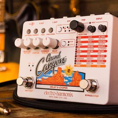 Electro-Harmonix GRAND CANYON Delay & Looper, 9.6DC-200 PSU included image 1