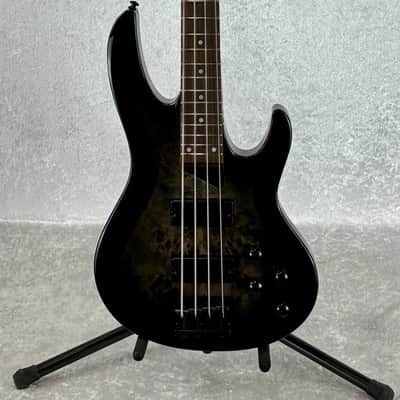 IN-STOCK - 2026 LTD B-204DX DX SERIES 4 STRING BASS \ BLACK BURST image 3