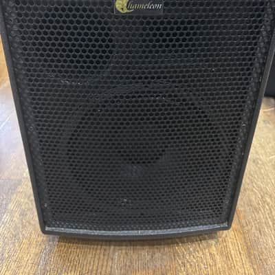 Pre-owned Buscarino Chameleon Speaker System image 1