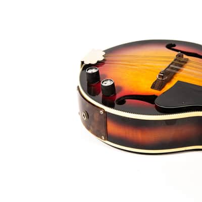 Kay Mandolin Owned by Mike Campbell image 13