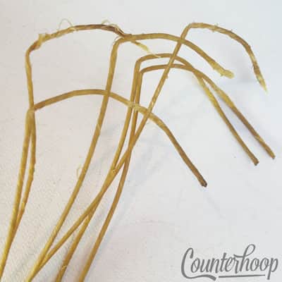 Ludwig&Ludwig "Cat"Gut(Sheep)Natural Snare Drum Wires/Strands Vintage 10s Catgut image 2