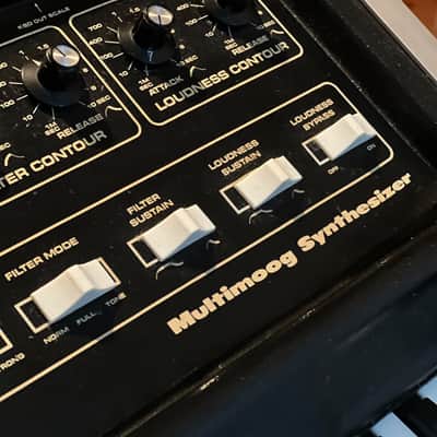 Moog Multimoog 1978 - 1981 - Black image 7