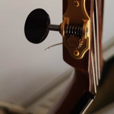 Guitare Flamenco / Flamenca image 11
