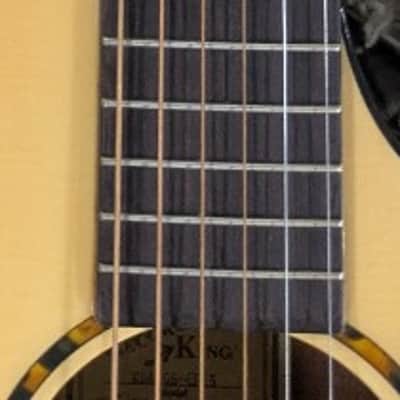 Recording King RGA-G6CFE5 Solid Top Grand Auditorium Acou/Elec Cutaway Guitar image 4