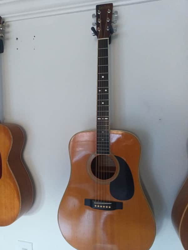 Tokai Cat's Eyes CE-200 Dreadnought Acoustic 1982 image 1