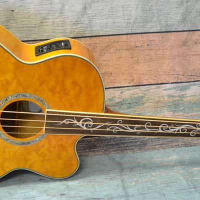 Michael Kelly Dragonfly 4FL Fretless Acoustic Bass image 2