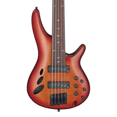 Used Ibanez SRD905FBTL SR Bass Workshop 5-String Fretless Brown Topaz Burst image 1