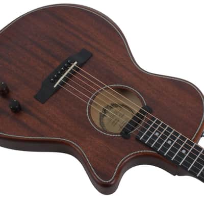 Swing Hybrid-M All Solid Electric Acoustic Slim Guitar Piezo Magnetic Pickup image 2