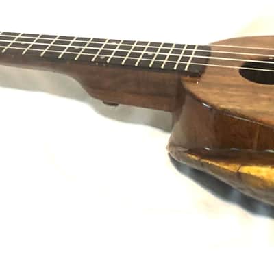 Turtle Shell Tenor Ukulele image 4