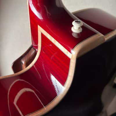 Tad Brown Archtop 16" Acoustic Calton Case image 10