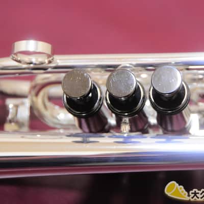 Brasspire Unicorn BPCT-B4S w/Black Nickel Trim (New) B♭Cornet image 15