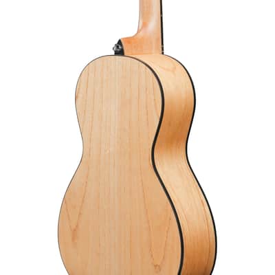 Ibanez PN2MD PN Acoustic Guitar - Open Pore Natural image 6