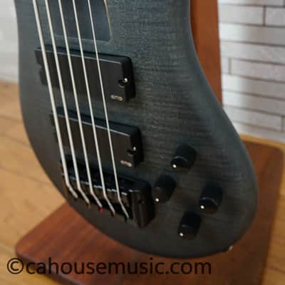 Immagine Spector Euro 5 LX - Trans Black Stain Matte - 8