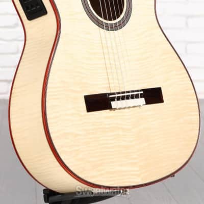 Cordoba Fusion 12 Exotic Top Nylon-string Acoustic-electric Guitar - White Sands (Fus12ExWSd1) image 3