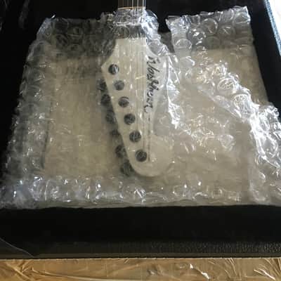 Washburn N4ESAMW 2006 - White image 8