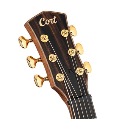 CORT MODERNBURGUNDY Masterpiece Series Dual Side Soundhole Acoustic/Electric Guitar image 3