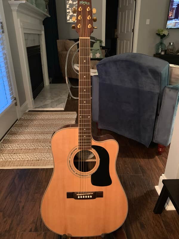 Washburn Pro D10SCEDL Acoustic Electric Guitar  with Gator Hard Shell Case image 1