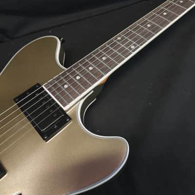 Tagima Ekosonic Hollow Body Electric Guitar Hard Case image 9