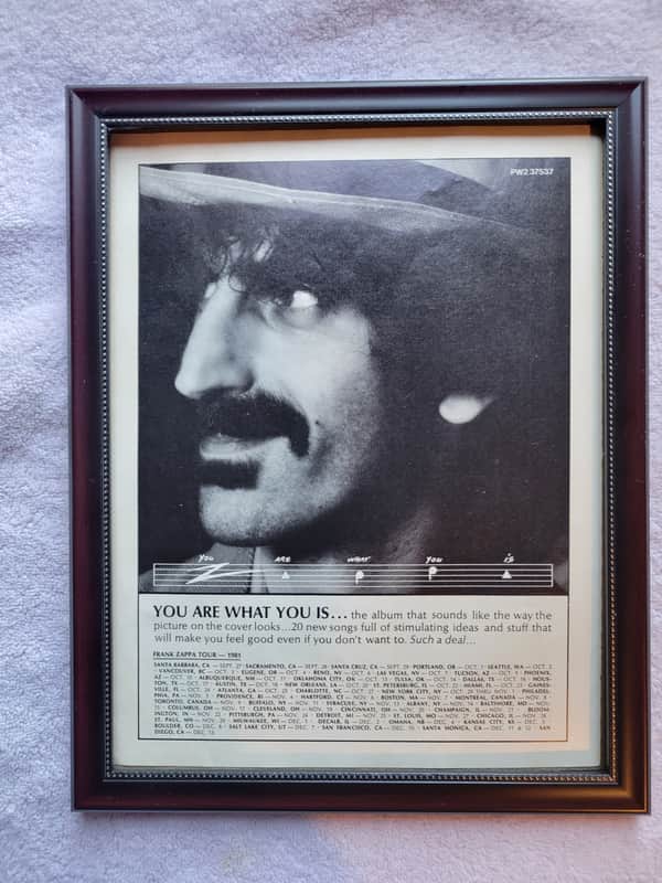 1981 Barking Pumpkin Records Promotional Ad Framed Frank Zappa You Are What You Is Album Original image 1