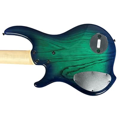 Dingwall Combustion 5 (3 Pickup), Whalepool Burst w/Pau Ferro B-STOCK With COSMETIC FLAWS *IN STOCK** image 2