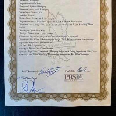 PRS McCarty 594 Private Stock - Thinline Black Subzero Doghair image 10
