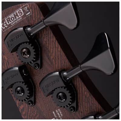Cort Artisan B4FL-Plus-AS-OPN Ash, Bolt on Neck, Mark Bass Pre Amp, Fretless, Free Shipping image 6