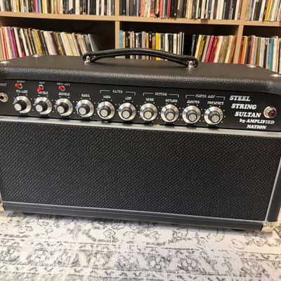 Amplified Nation Steel String Sultan 100 watt Head 2019 - Black image 1