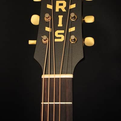 Iris ms-OO Redwood / Rosewood 2024 - Natural Satin image 14